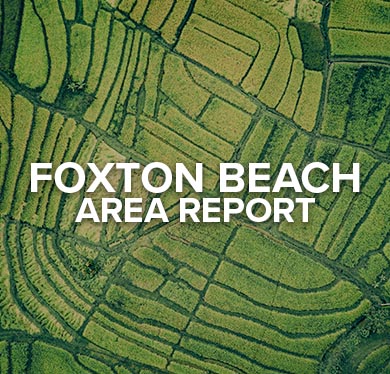 Foxton Beach Area Report