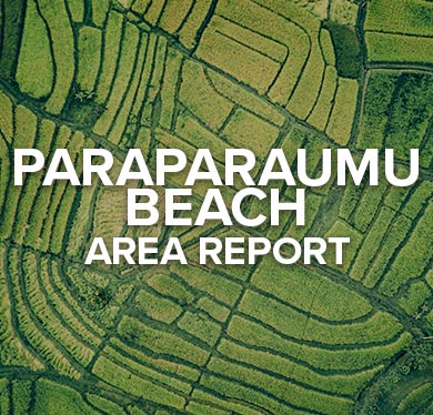 Paraparaumu Beach Area Report