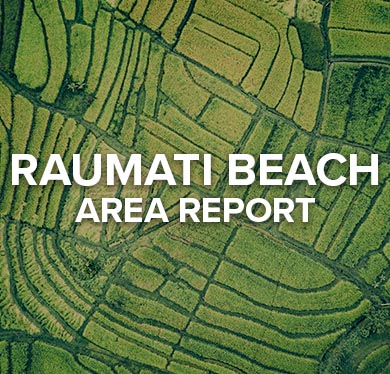 Raumati Beach Area Report