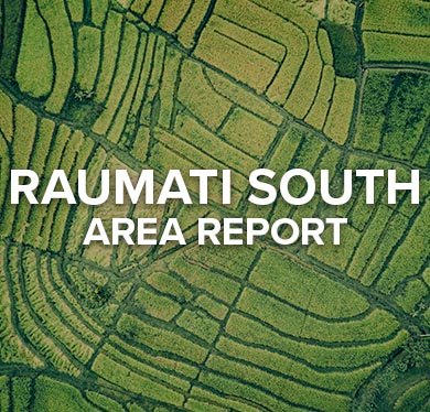 Raumati South Area Report