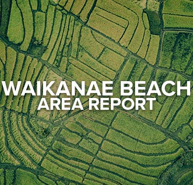 Waikanae Beach Area Report