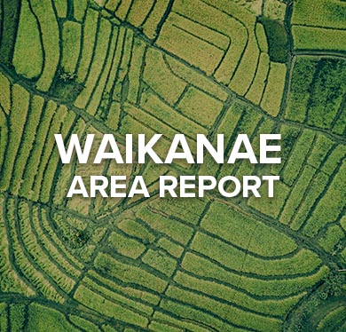 Waikanae Area Report