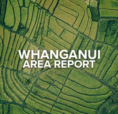 Whanganui Area Report