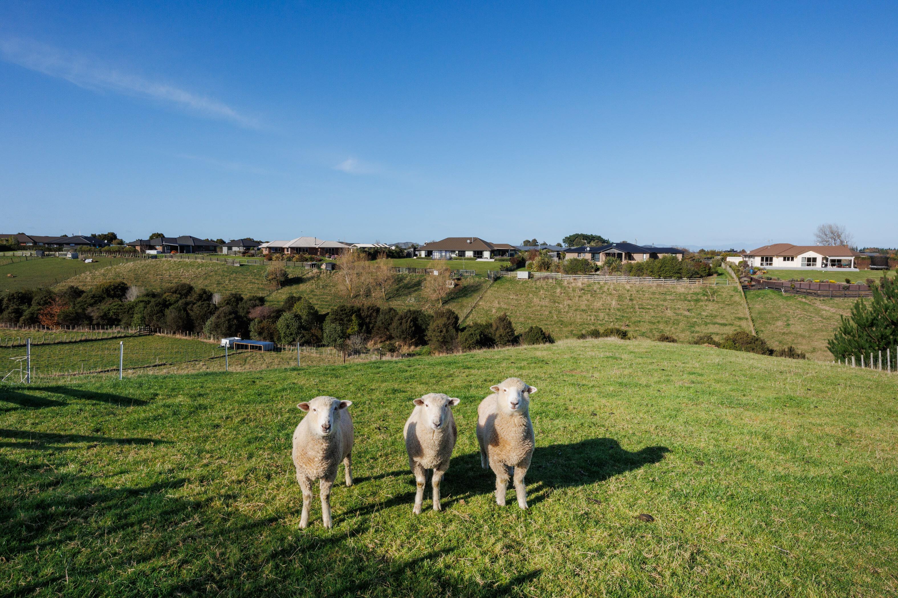 Property Picture: Mount Taylor Retreat