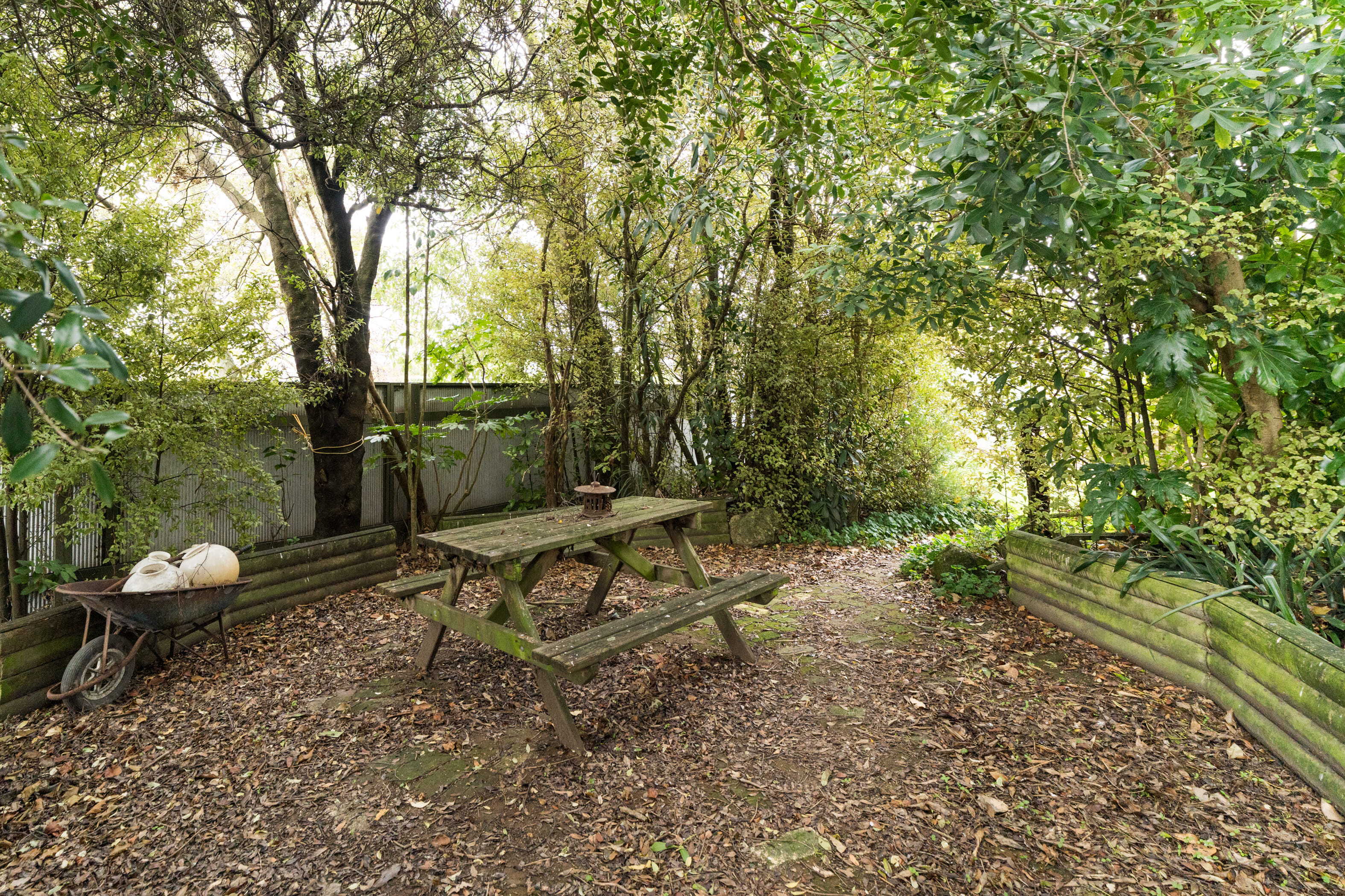 Property Picture: First Time on the Market in 50 Years!