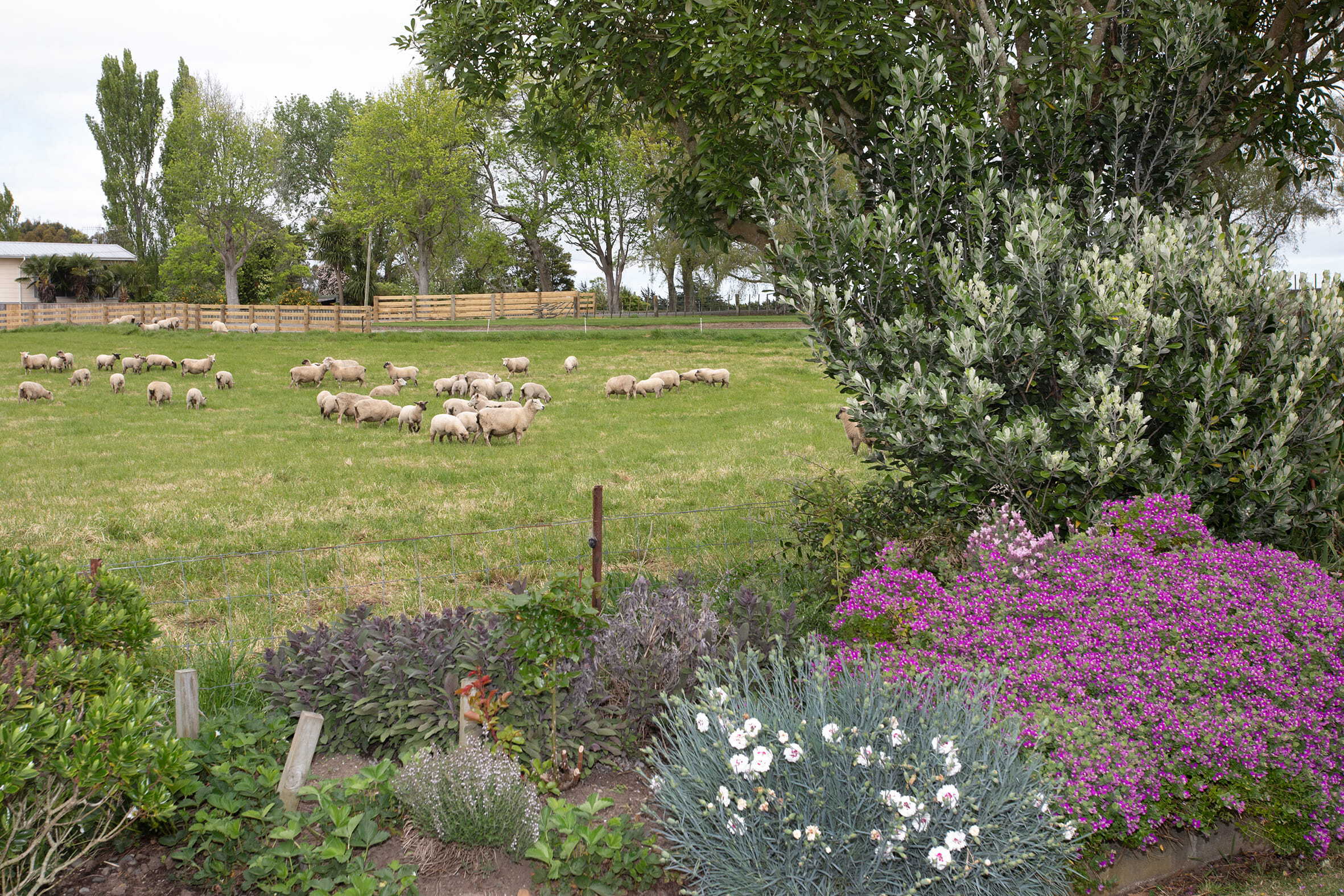Property Picture: Quiet country living close to town