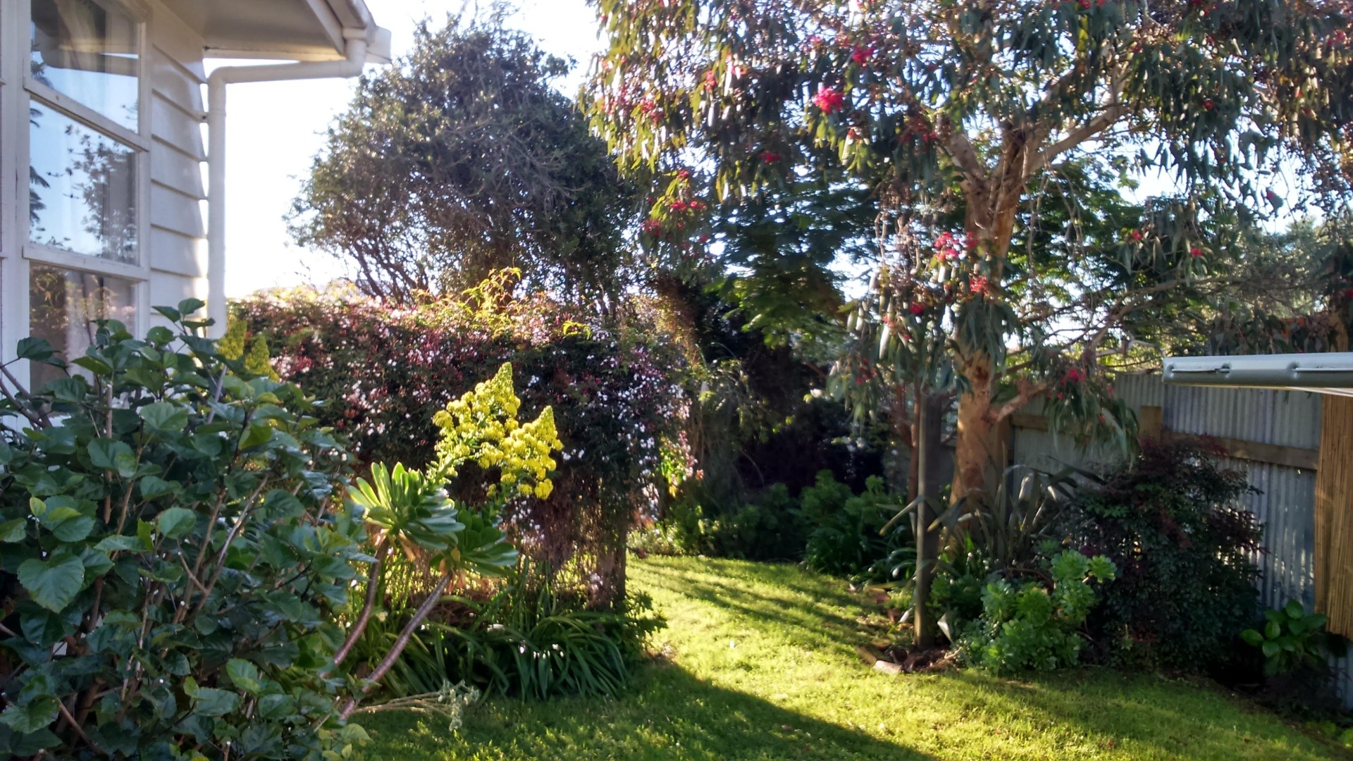 Paraparaumu Beach - 2 Bedrooms
