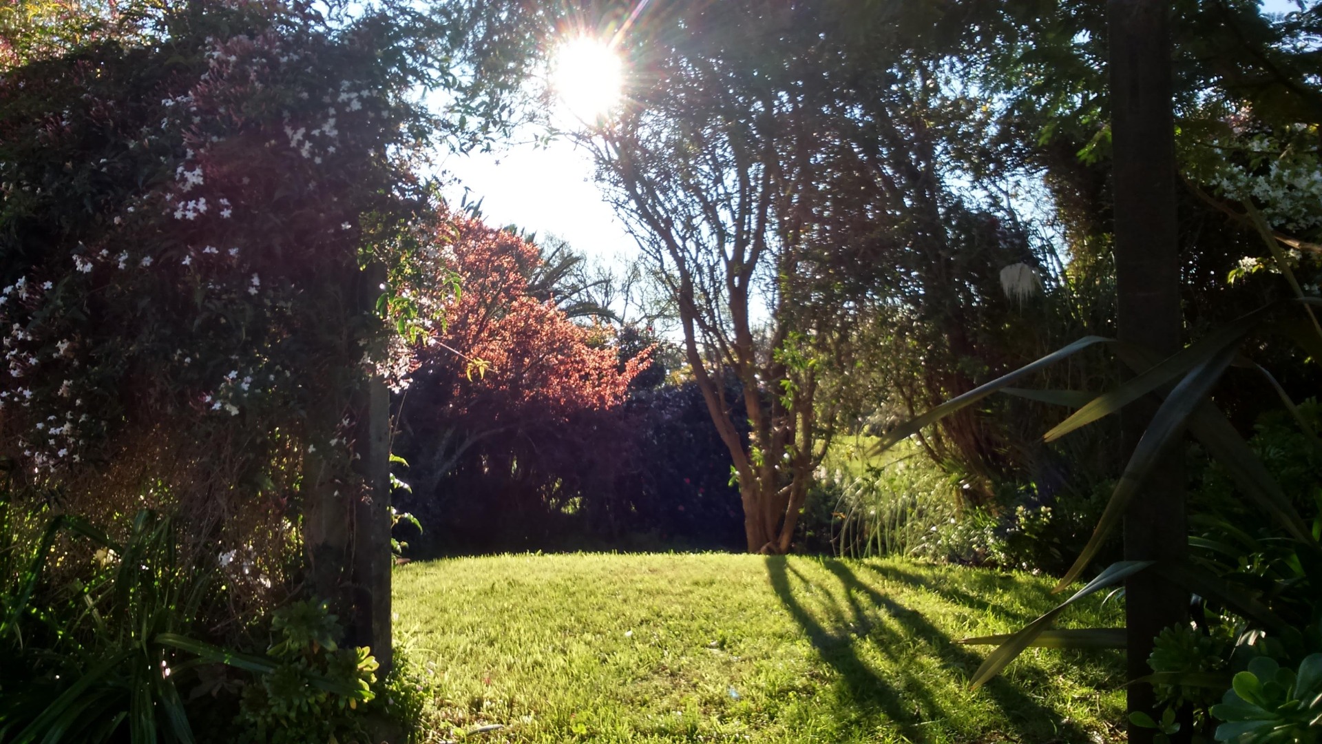 Paraparaumu Beach - 2 Bedrooms