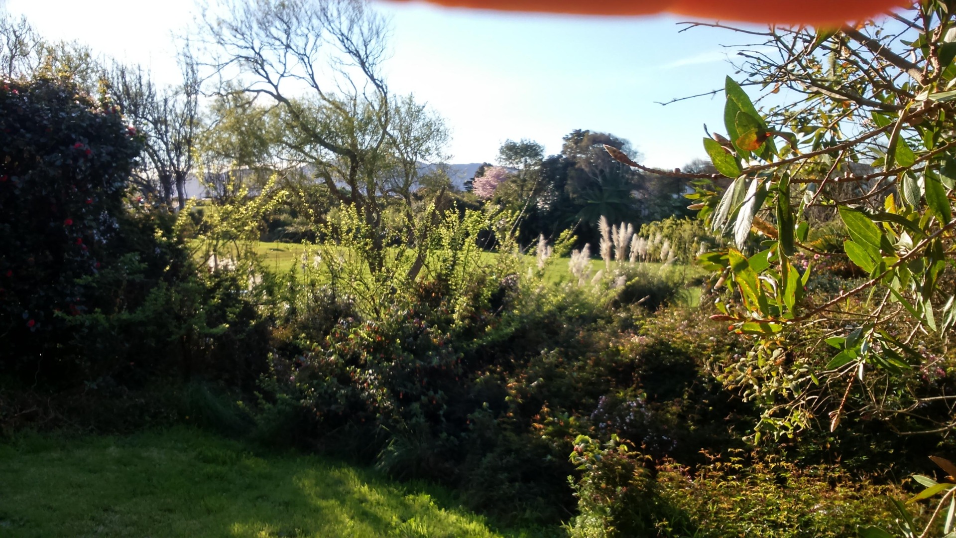 Paraparaumu Beach - 2 Bedrooms