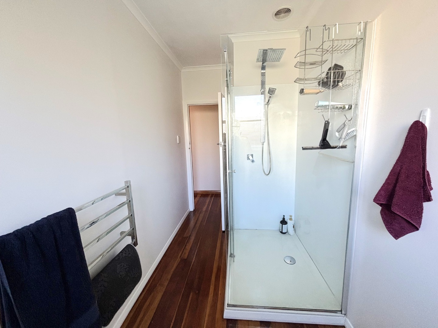 Awapuni - 4 Bedrooms 