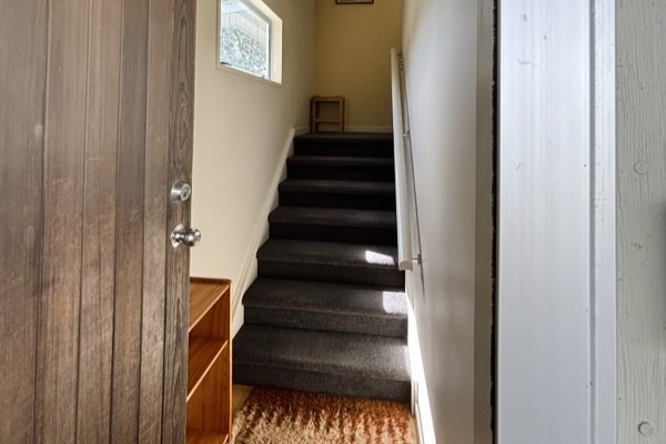 Waikanae Beach - 1 Bedroom