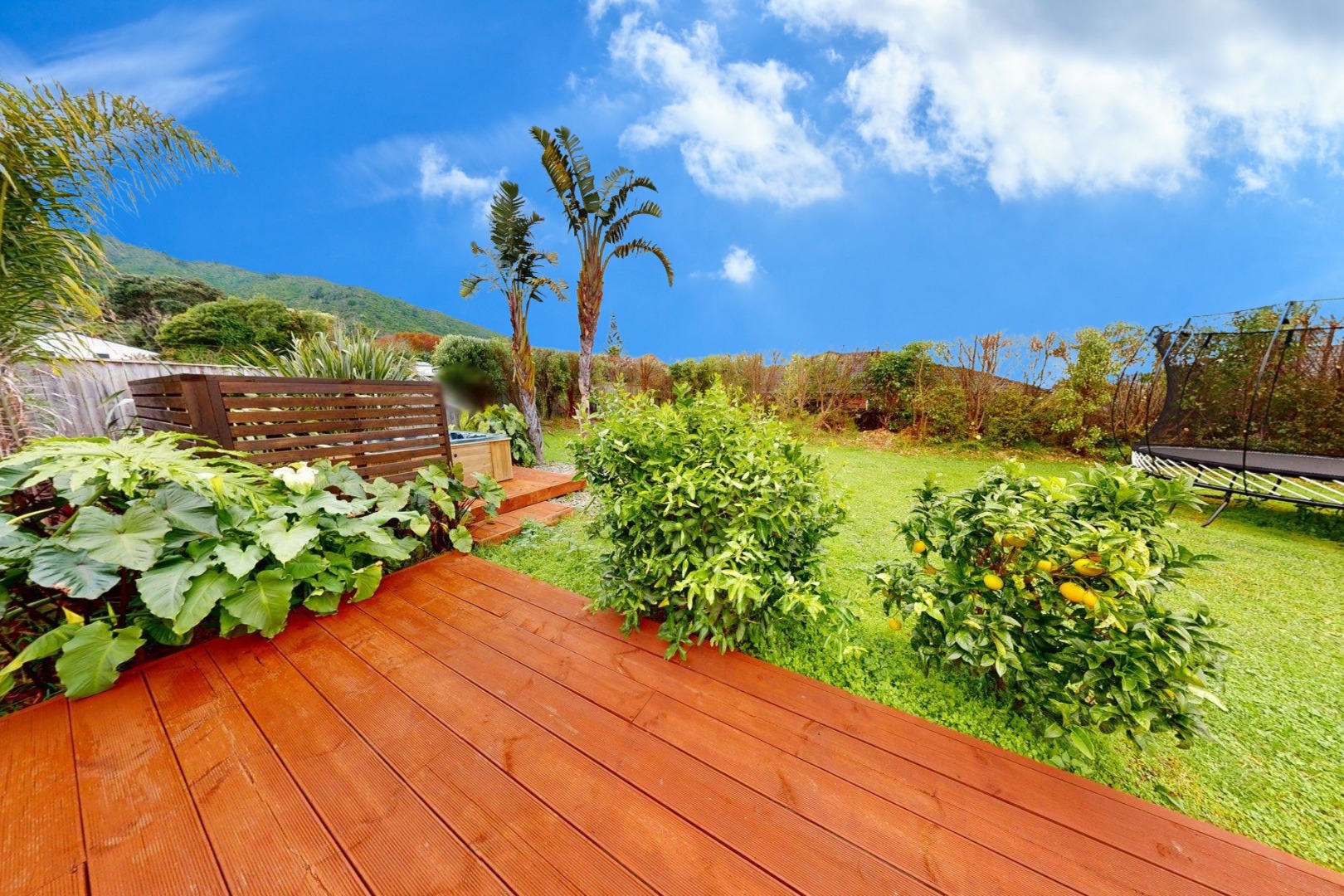 Waikanae - 4 Bedrooms